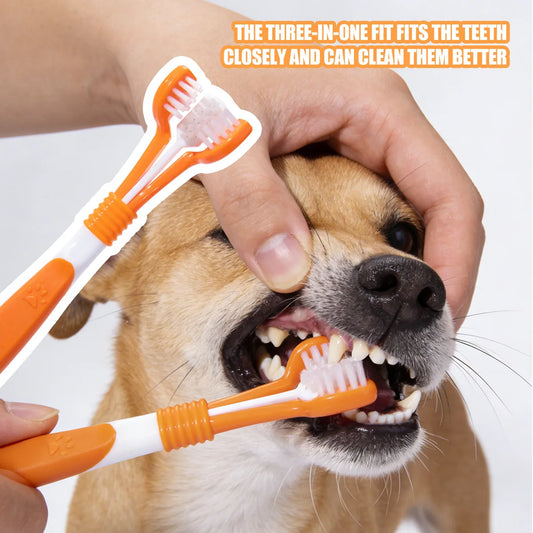 PawFresh Brush — 3-Sided Dental Care Brush