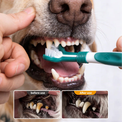 PawFresh Brush — 3-Sided Dental Care Brush